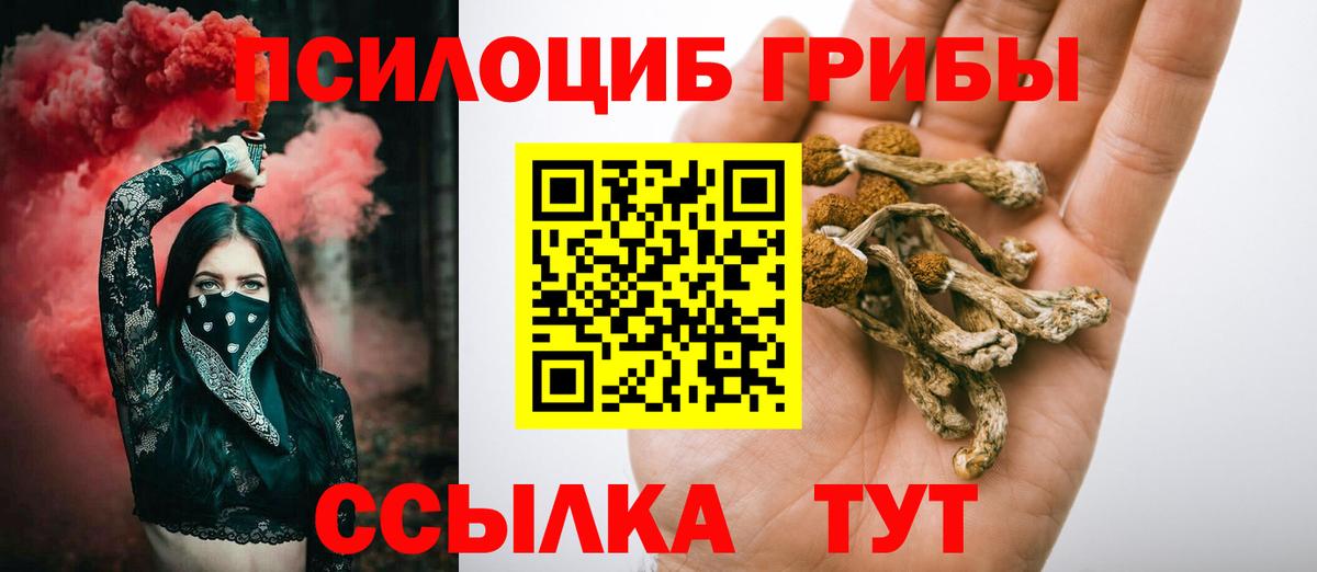 Биробиджан  хочу наркоту  Псилоцибиновые грибы Magic Shrooms  Вход с VPN  Псилоцибиновые грибы Psilocybine cubensis 